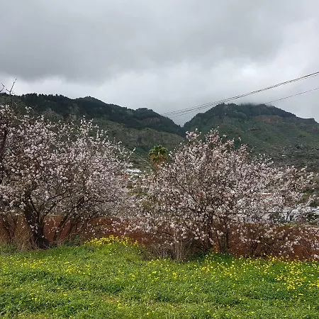 La Rosa De Belen * Valsequillo de Gran Canaria