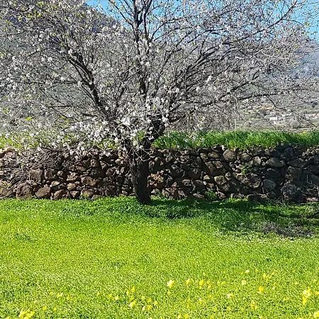 La Rosa De Belen *